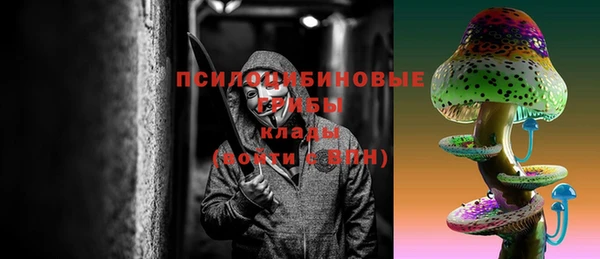соль ск Краснослободск