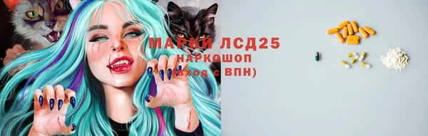 соль ск Краснослободск