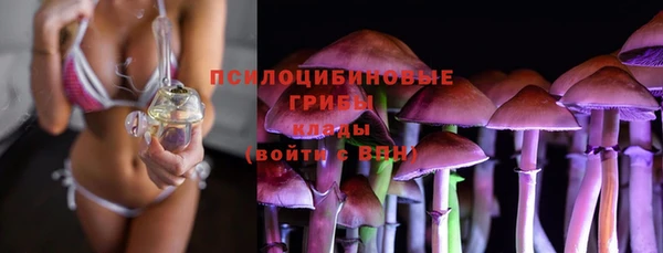 соль ск Краснослободск