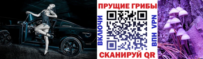 Псилоцибиновые грибы Psilocybine cubensis  Купить где  Советская Гавань 